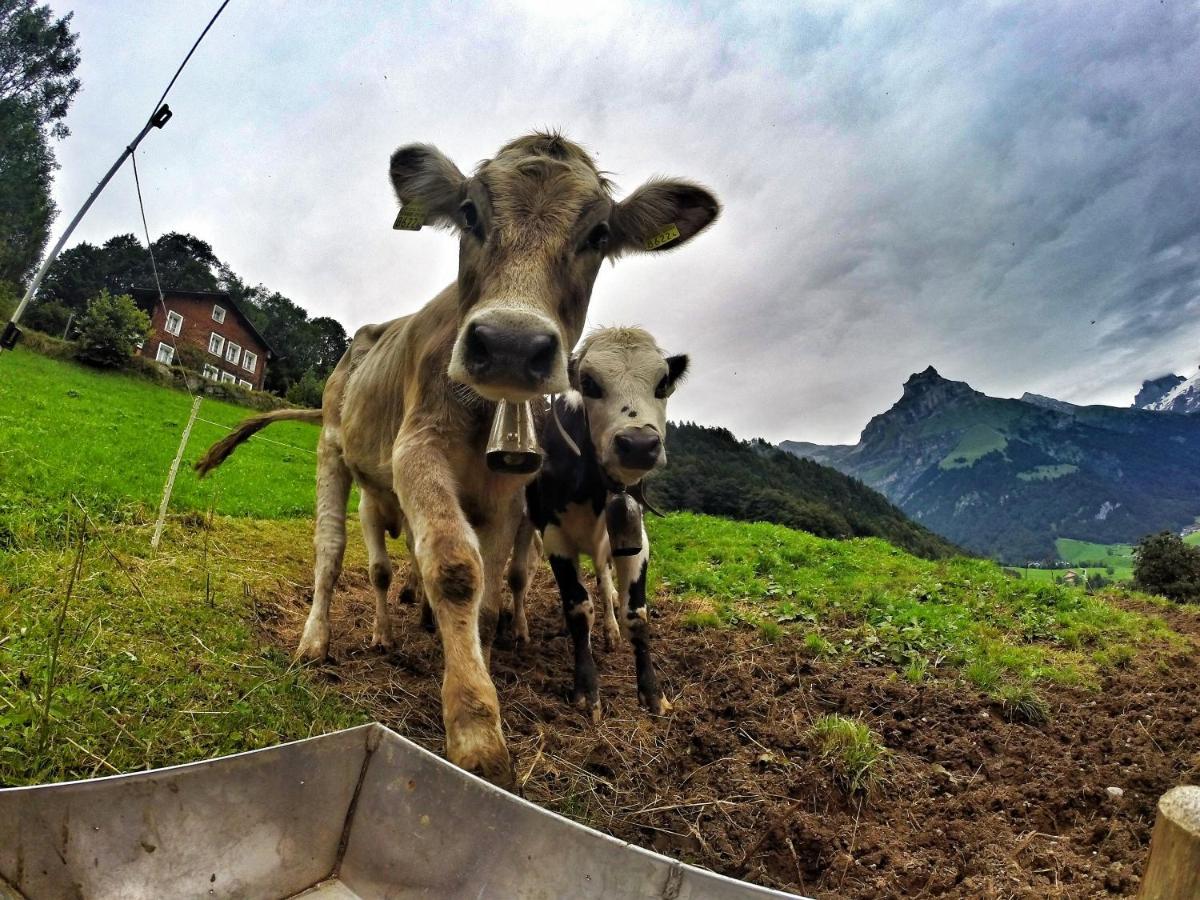 Hostel Engelberg "Mein Trail Hostel" 外观 照片