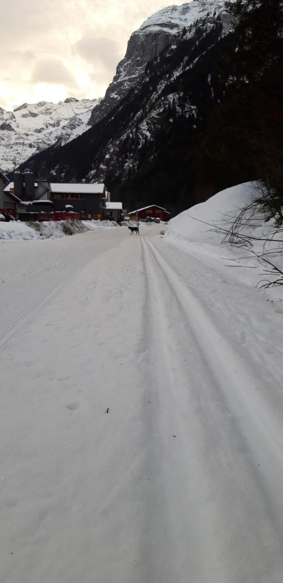 Hostel Engelberg "Mein Trail Hostel" 外观 照片